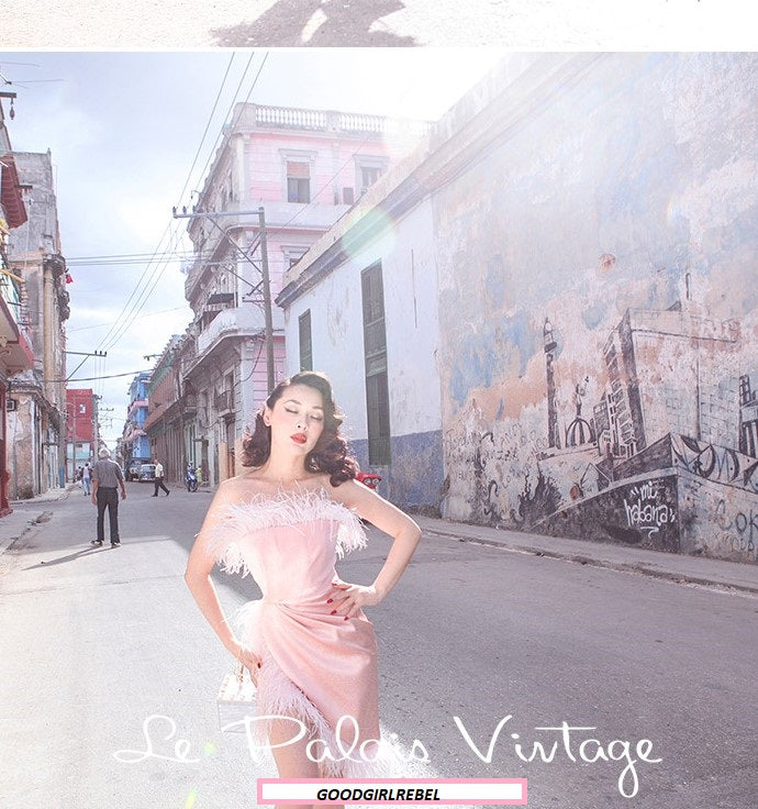 Le palais vintage one-of-a-kind elegant pink ostrich feather satin dress - Redsi